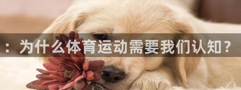 98体育app官网下载：：为什么体育运动需要我们认知？