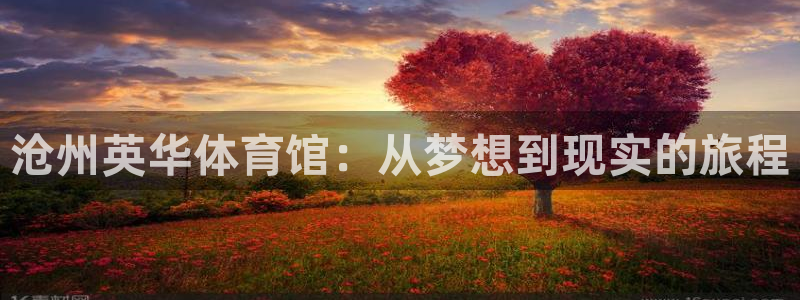98体育app官网下载：沧州英华体育馆：从梦想到现实的旅程