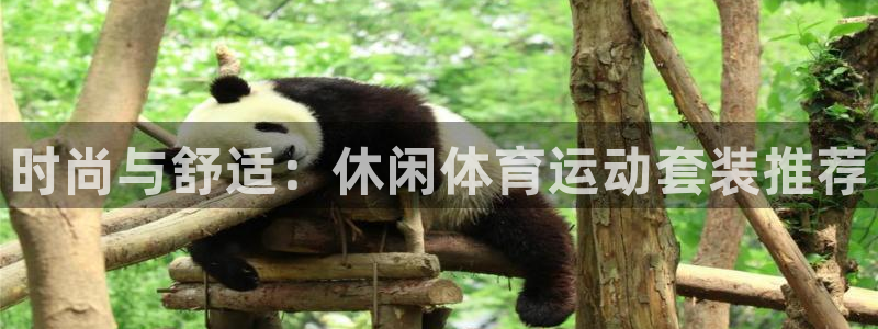 98体育：时尚与舒适：休闲体育运动套装推荐