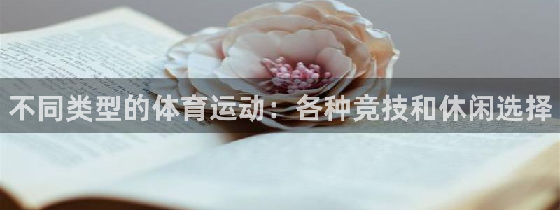 拳皇98体育队：不同类型的体育运动：各种竞技和休闲选择